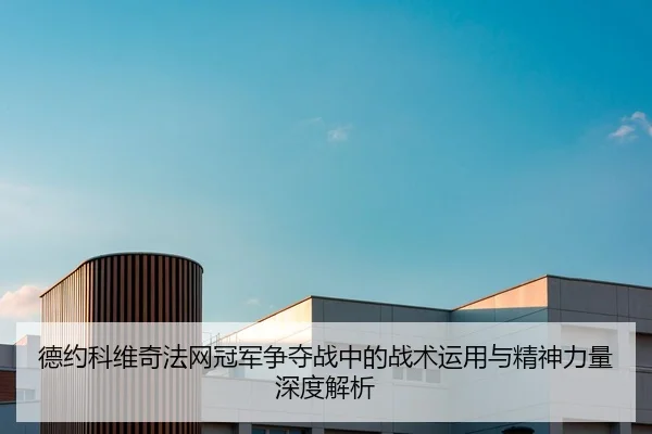 德约科维奇法网冠军争夺战中的战术运用与精神力量深度解析