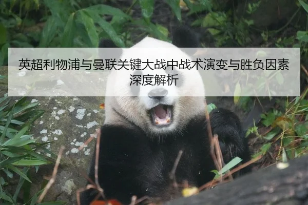 英超利物浦与曼联关键大战中战术演变与胜负因素深度解析